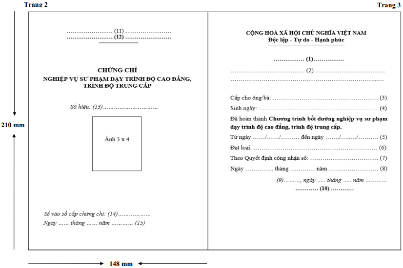 Thông tư 06/2022/TT-BLĐTBXH của Bộ Lao động Thương binh và Xã hội về quy định chương trình bồi dưỡng nghiệp vụ sư phạm giáo dục nghề nghiệp và chứng chỉ nghiệp vụ sư phạm giáo dục nghề nghiệp
