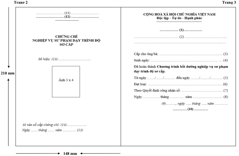 Thông tư 06/2022/TT-BLĐTBXH của Bộ Lao động Thương binh và Xã hội về quy định chương trình bồi dưỡng nghiệp vụ sư phạm giáo dục nghề nghiệp và chứng chỉ nghiệp vụ sư phạm giáo dục nghề nghiệp