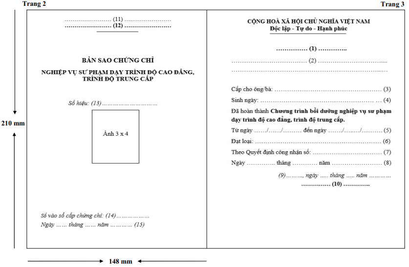 Thông tư 06/2022/TT-BLĐTBXH của Bộ Lao động Thương binh và Xã hội về quy định chương trình bồi dưỡng nghiệp vụ sư phạm giáo dục nghề nghiệp và chứng chỉ nghiệp vụ sư phạm giáo dục nghề nghiệp