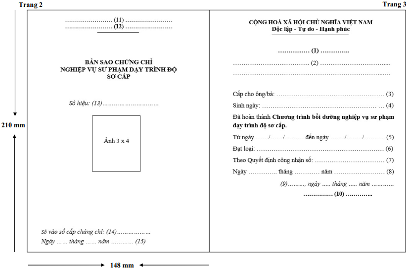Thông tư 06/2022/TT-BLĐTBXH của Bộ Lao động Thương binh và Xã hội về quy định chương trình bồi dưỡng nghiệp vụ sư phạm giáo dục nghề nghiệp và chứng chỉ nghiệp vụ sư phạm giáo dục nghề nghiệp