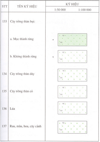 Quyết định 178/1998/QĐ-ĐC của Tổng cục Địa chính về việc ban hành Ký hiệu bản đồ địa chính tỷ lệ 1:50.000 và 1:100.000