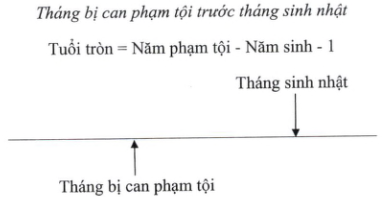 Quyết định 05/2023/QĐ-TTg của Thủ tướng Chính phủ về việc ban hành Hệ thống chỉ tiêu thống kê cấp tỉnh, cấp huyện, cấp xã
