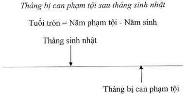 Quyết định 05/2023/QĐ-TTg của Thủ tướng Chính phủ về việc ban hành Hệ thống chỉ tiêu thống kê cấp tỉnh, cấp huyện, cấp xã