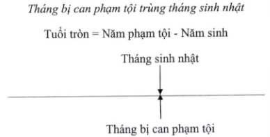 Quyết định 05/2023/QĐ-TTg của Thủ tướng Chính phủ về việc ban hành Hệ thống chỉ tiêu thống kê cấp tỉnh, cấp huyện, cấp xã