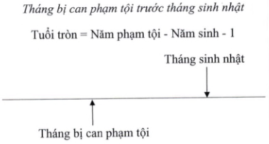 Quyết định 05/2023/QĐ-TTg của Thủ tướng Chính phủ về việc ban hành Hệ thống chỉ tiêu thống kê cấp tỉnh, cấp huyện, cấp xã