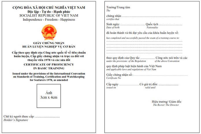 Thông tư 20/2023/TT-BGTVT của Bộ Giao thông Vận tải quy định về tiêu chuẩn chuyên môn, chứng chỉ chuyên môn, đào tạo, huấn luyện thuyền viên và định biên an toàn tối thiểu của tàu biển Việt Nam