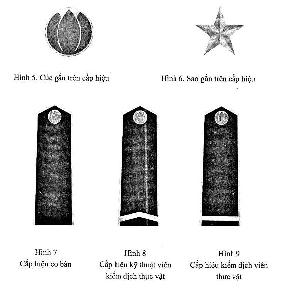 Quyết định 58/2007/QĐ-BNN của Bộ Nông nghiệp và Phát triển nông thôn về việc ban hành Quy định về trang phục, phù hiệu, cấp hiệu, biển hiệu, thẻ kiểm dịch thực vật và chế độ cấp phát, sử dụng đối với cán bộ, công chức, viên chức kiểm dịch thực vật