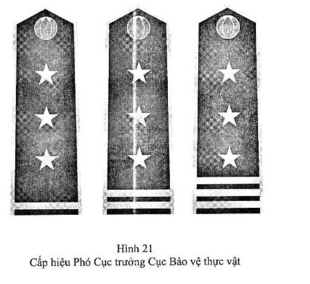 Quyết định 58/2007/QĐ-BNN của Bộ Nông nghiệp và Phát triển nông thôn về việc ban hành Quy định về trang phục, phù hiệu, cấp hiệu, biển hiệu, thẻ kiểm dịch thực vật và chế độ cấp phát, sử dụng đối với cán bộ, công chức, viên chức kiểm dịch thực vật
