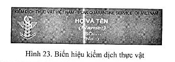 Quyết định 58/2007/QĐ-BNN của Bộ Nông nghiệp và Phát triển nông thôn về việc ban hành Quy định về trang phục, phù hiệu, cấp hiệu, biển hiệu, thẻ kiểm dịch thực vật và chế độ cấp phát, sử dụng đối với cán bộ, công chức, viên chức kiểm dịch thực vật