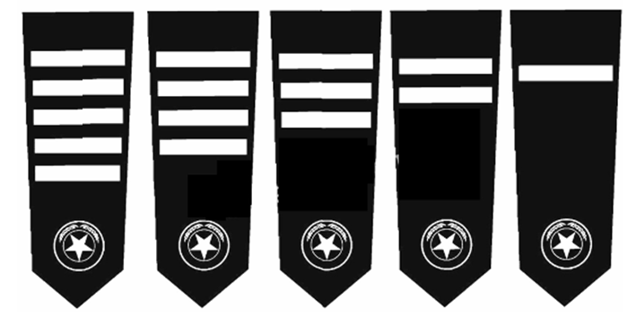 Thông tư 45/2009/TT-BCA(C11) của Bộ Công an hướng dẫn thi hành một số điều của Nghị định số 52/2008/NĐ-CP ngày 22/04/2008 về quản lý kinh doanh dịch vụ bảo vệ