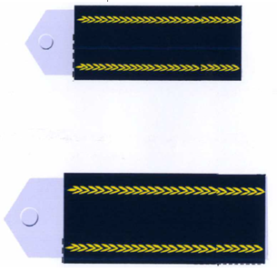 Thông tư 44/2011/TT-BGTVT của Bộ Giao thông Vận tải quy định về trang phục, phù hiệu và biển hiệu của cán bộ, công chức viên chức Cảng vụ hàng không