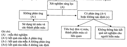Thông tư 26/2013/TT-BYT của Bộ Y tế về việc hướng dẫn hoạt động truyền máu