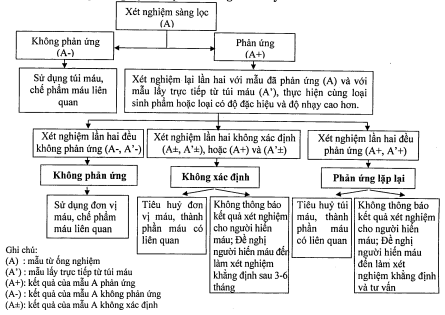 Thông tư 26/2013/TT-BYT của Bộ Y tế về việc hướng dẫn hoạt động truyền máu