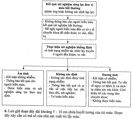 Thông tư 26/2013/TT-BYT của Bộ Y tế về việc hướng dẫn hoạt động truyền máu
