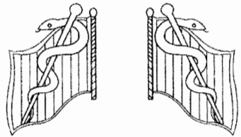 Nghị định 89/2018/NĐ-CP của Chính phủ về việc quy định chi tiết thi hành một số điều của Luật phòng, chống bệnh truyền nhiễm về kiểm dịch y tế biên giới