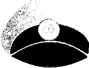 Nghị định 89/2018/NĐ-CP của Chính phủ về việc quy định chi tiết thi hành một số điều của Luật phòng, chống bệnh truyền nhiễm về kiểm dịch y tế biên giới