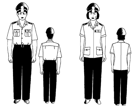 Nghị định 89/2018/NĐ-CP của Chính phủ về việc quy định chi tiết thi hành một số điều của Luật phòng, chống bệnh truyền nhiễm về kiểm dịch y tế biên giới