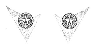 Thông tư 12/2014/TT-BNNPTNT của Bộ Nông nghiệp và Phát triển nông thôn về việc quy định biểu trưng, cờ hiệu, cờ truyền thống, trang phục, mẫu thẻ Kiểm ngư và màu sơn tàu, xuồng Kiểm ngư