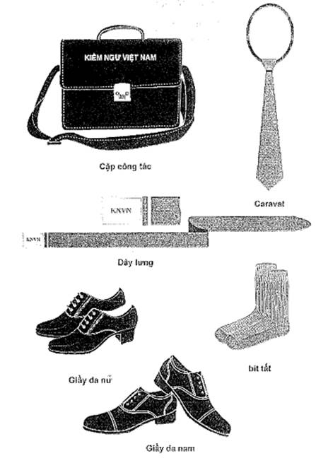 Thông tư 12/2014/TT-BNNPTNT của Bộ Nông nghiệp và Phát triển nông thôn về việc quy định biểu trưng, cờ hiệu, cờ truyền thống, trang phục, mẫu thẻ Kiểm ngư và màu sơn tàu, xuồng Kiểm ngư