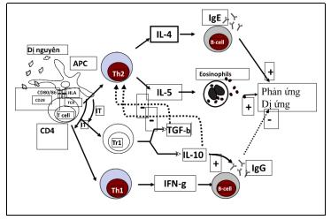Quyết định 3942/QĐ-BYT của Bộ Y tế về việc ban hành tài liệu chuyên môn