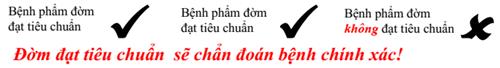 Quyết định 1314/QĐ-BYT của Bộ Y tế về việc ban hành Hướng dẫn chẩn đoán, điều trị và dự phòng bệnh lao