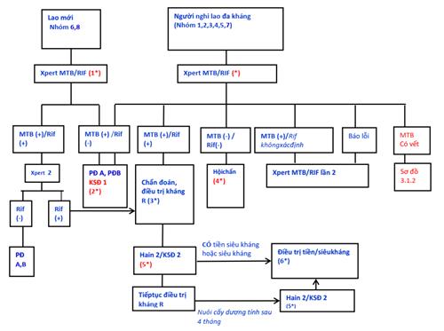 Quyết định 1314/QĐ-BYT của Bộ Y tế về việc ban hành Hướng dẫn chẩn đoán, điều trị và dự phòng bệnh lao