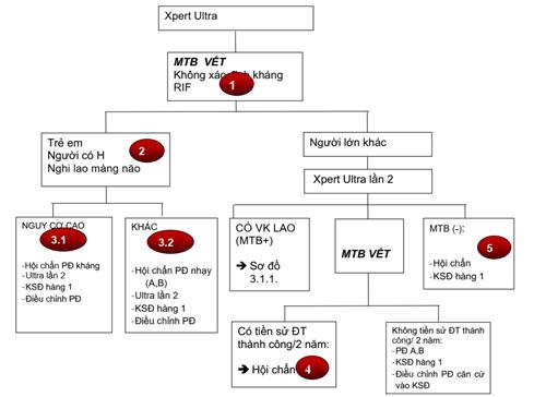 Quyết định 1314/QĐ-BYT của Bộ Y tế về việc ban hành Hướng dẫn chẩn đoán, điều trị và dự phòng bệnh lao