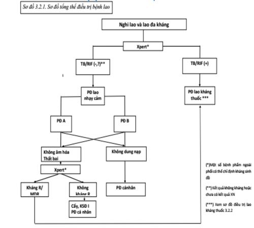 Quyết định 1314/QĐ-BYT của Bộ Y tế về việc ban hành Hướng dẫn chẩn đoán, điều trị và dự phòng bệnh lao