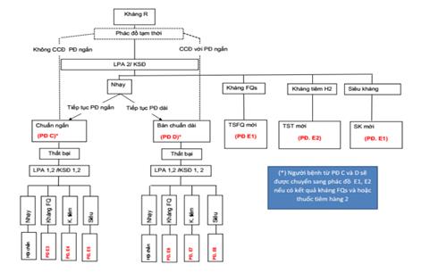 Quyết định 1314/QĐ-BYT của Bộ Y tế về việc ban hành Hướng dẫn chẩn đoán, điều trị và dự phòng bệnh lao