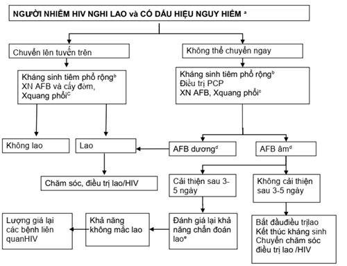 Quyết định 1314/QĐ-BYT của Bộ Y tế về việc ban hành Hướng dẫn chẩn đoán, điều trị và dự phòng bệnh lao