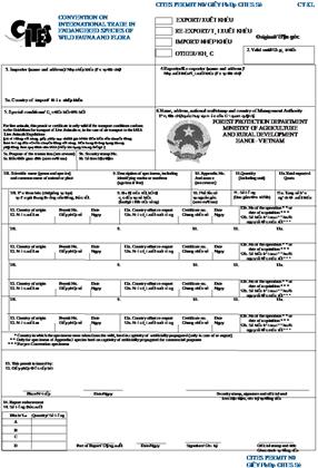 Nghị định 82/2006/NĐ-CP của Chính phủ về quản lý hoạt động xuất khẩu, nhập khẩu, tái xuất khẩu, nhập nội từ biển, quá cảnh, nuôi sinh sản, nuôi sinh trưởng và trồng cấy nhân tạo các loài động vật, thực vật hoang dã nguy cấp, quý, hiếm
