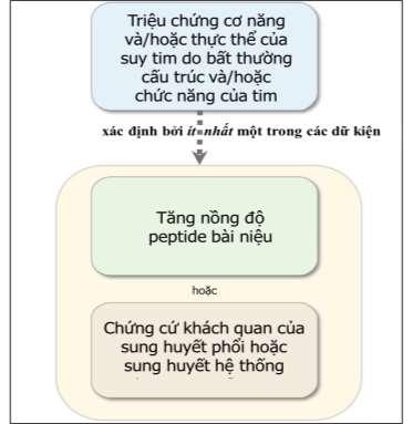 Quyết định 1857/QĐ-BYT của Bộ Y tế về việc ban hành Tài liệu chuyên môn “Hướng dẫn chẩn đoán và điều trị suy tim cấp và mạn”