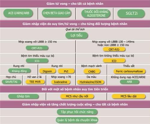 Quyết định 1857/QĐ-BYT của Bộ Y tế về việc ban hành Tài liệu chuyên môn “Hướng dẫn chẩn đoán và điều trị suy tim cấp và mạn”