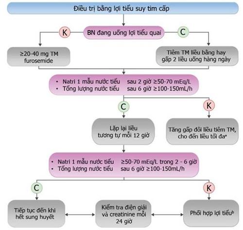 Quyết định 1857/QĐ-BYT của Bộ Y tế về việc ban hành Tài liệu chuyên môn “Hướng dẫn chẩn đoán và điều trị suy tim cấp và mạn”