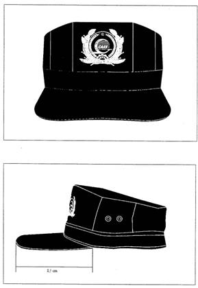 Thông tư 18/2015/TT-BGTVT của Bộ Giao thông Vận tải quy định về trang phục, phù hiệu, cấp hiệu của lực lượng kiểm soát an ninh hàng không