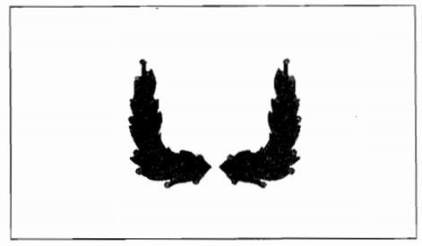 Thông tư 18/2015/TT-BGTVT của Bộ Giao thông Vận tải quy định về trang phục, phù hiệu, cấp hiệu của lực lượng kiểm soát an ninh hàng không