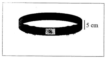 Thông tư 18/2015/TT-BGTVT của Bộ Giao thông Vận tải quy định về trang phục, phù hiệu, cấp hiệu của lực lượng kiểm soát an ninh hàng không