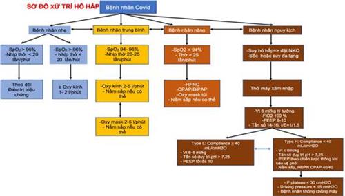 Quyết định 2671/QĐ-BYT của Bộ Y tế về việc ban hành Hướng dẫn chẩn đoán và điều trị COVID-19
