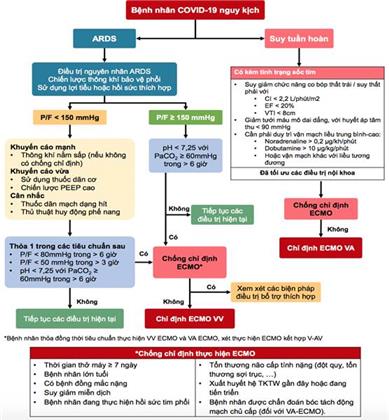 Quyết định 2671/QĐ-BYT của Bộ Y tế về việc ban hành Hướng dẫn chẩn đoán và điều trị COVID-19