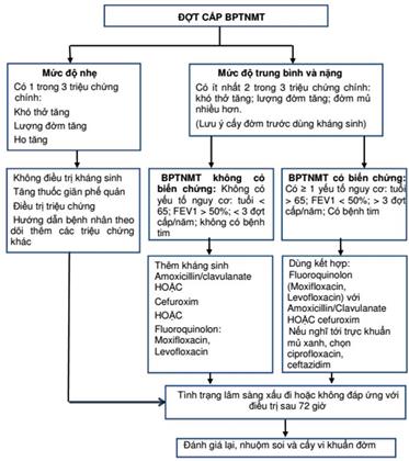 Quyết định 4562/QĐ-BYT của Bộ Y tế về việc ban hành Tài liệu chuyên môn