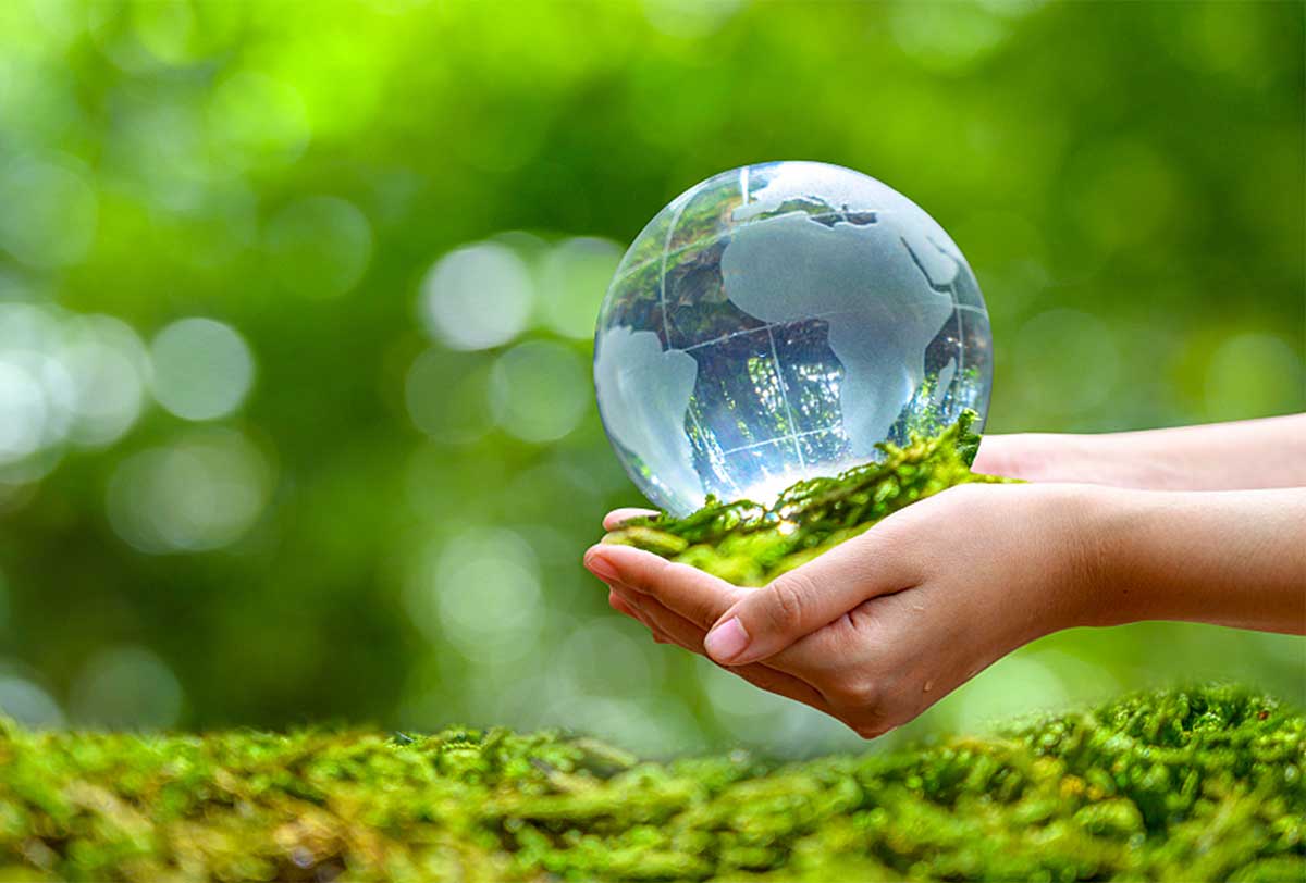 Chính sách mới về Môi trường có hiệu lực tháng 9/2025 Chính sách mới về Môi trường có hiệu lực tháng 9/2025