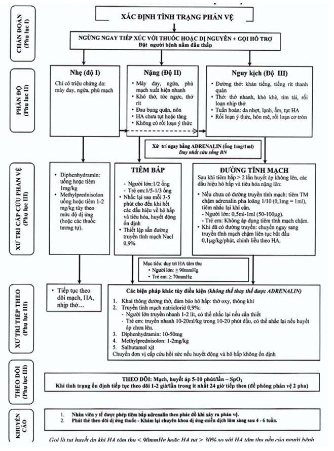 Thông tư 51/2017/TT-BYT của Bộ Y tế về việc hướng dẫn phòng, chẩn đoán và xử trí phản vệ