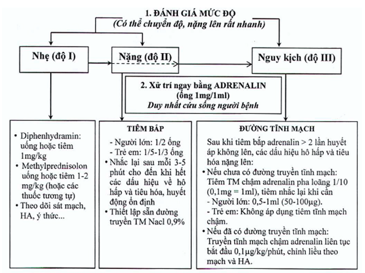 Thông tư 51/2017/TT-BYT của Bộ Y tế về việc hướng dẫn phòng, chẩn đoán và xử trí phản vệ