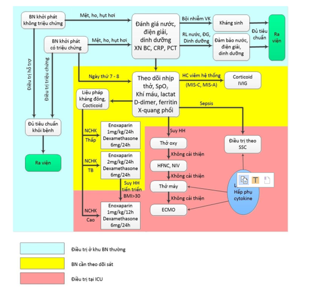 Quyết định 3416/QĐ-BYT của Bộ Y tế ban hành Hướng dẫn chẩn đoán và điều trị COVID-19 do chủng vi rút Corona mới (SARS-CoV-2)