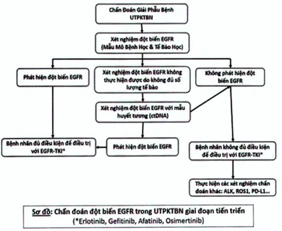 Quyết định 4825/QĐ-BYT của Bộ Y tế về việc ban hành Tài liệu chuyên môn 