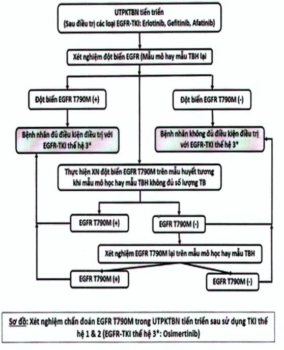 Quyết định 4825/QĐ-BYT của Bộ Y tế về việc ban hành Tài liệu chuyên môn 