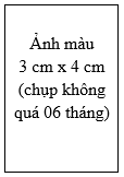 Thông tư 12/2017/TT-BGTVT của Bộ Giao thông Vận tải quy định về đào tạo, sát hạch, cấp giấy phép lái xe cơ giới đường bộ