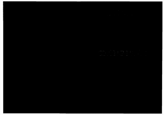 Thông tư 14/2015/TT-BLĐTBXH của Bộ Lao động Thương binh và Xã hội quy định về thanh tra viên, công chức thanh tra chuyên ngành và cộng tác viên thanh tra ngành Lao động Thương binh và Xã hội