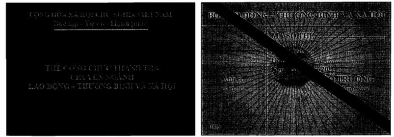 Thông tư 14/2015/TT-BLĐTBXH của Bộ Lao động Thương binh và Xã hội quy định về thanh tra viên, công chức thanh tra chuyên ngành và cộng tác viên thanh tra ngành Lao động Thương binh và Xã hội