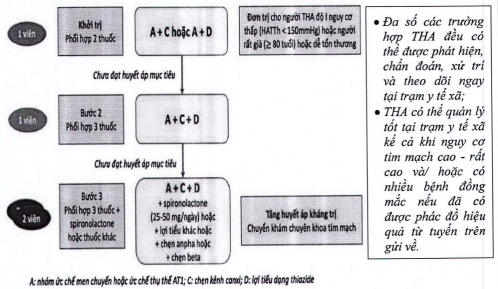 Quyết định 5904/QĐ-BYT của Bộ Y tế về việc ban hành tài liệu chuyên môn 